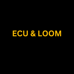 Collection image for: ECU and Loom