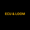 ECU and Loom