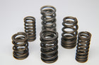 TB48 Dual Valve Springs Kit FERREA