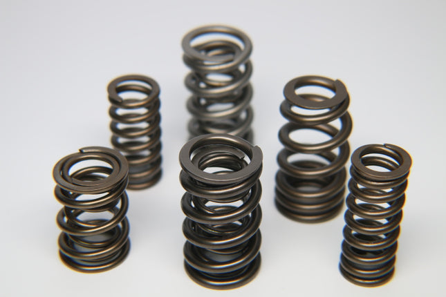 TB48 Dual Valve Springs Kit FERREA