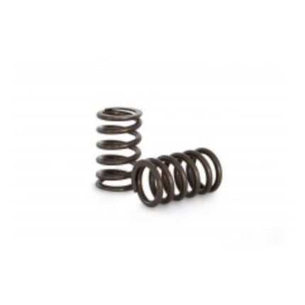 Kelford Nissan TB48/ 1FZ Valve Springs SINGLES