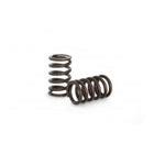 Kelford Nissan TB48/ 1FZ Valve Springs SINGLES