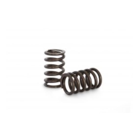 Kelford Nissan TB48/ 1FZ Valve Springs SINGLES